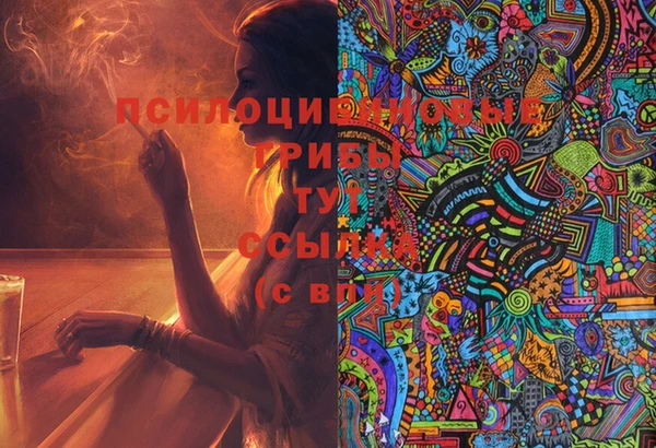 прущая мука Няндома