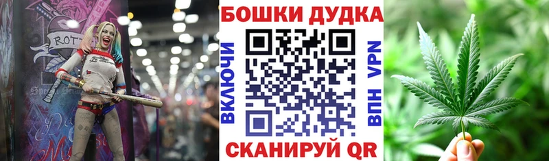 Бошки Шишки SATIVA & INDICA  где найти наркотики  MEGA зеркало  Сольвычегодск 